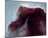 NASA - The Horsehead Nebula-null-Mounted Art Print