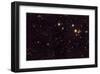 NASA - View of Spiderweb Galaxy Field-null-Framed Art Print