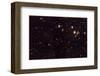 NASA - View of Spiderweb Galaxy Field-null-Framed Art Print