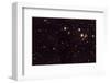 NASA - View of Spiderweb Galaxy Field-null-Framed Art Print