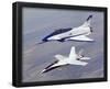 NASA (X-31 & F-18 In Flight, 1994) Art Poster Print-null-Framed Poster