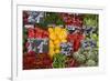 Naschmarkt, Vienna, Austria, Europe-Jean Brooks-Framed Photographic Print