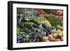 Naschmarkt, Vienna, Austria, Europe-Jean Brooks-Framed Photographic Print