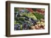 Naschmarkt, Vienna, Austria, Europe-Jean Brooks-Framed Photographic Print