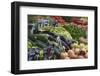 Naschmarkt, Vienna, Austria, Europe-Jean Brooks-Framed Photographic Print