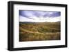 Naseby Is a Quiet Little Town in the Otago Region of New Zealand-Micah Wright-Framed Photographic Print