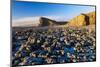 Nash Point, Glamorgan Heritage Coast, Wales, United Kingdom, Europe-Billy-Mounted Photographic Print