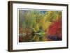 Nason Creek I-Donald Paulson-Framed Giclee Print