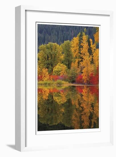 Nason Creek III-Donald Paulson-Framed Giclee Print