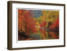 Nason Creek IV-Donald Paulson-Framed Giclee Print