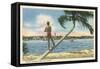 Nassau, Bahamas, Hog Island-null-Framed Stretched Canvas