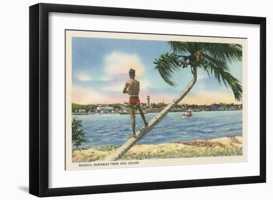 Nassau, Bahamas, Hog Island-null-Framed Art Print