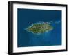 Nassau, Island of New Providence, Bahamas, Satellite Image-null-Framed Photographic Print
