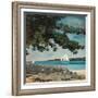 Nassau: Wasser und Segelboot (Nassau: Water and Sailboat). 1899-Winslow Homer-Framed Giclee Print