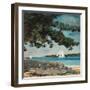 Nassau: Wasser und Segelboot (Nassau: Water and Sailboat). 1899-Winslow Homer-Framed Giclee Print