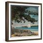 Nassau: Water and Sailboat, 1899 (Watercolour on Paper)-Winslow Homer-Framed Giclee Print