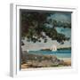 Nassau: Water and Sailboat, 1899 (Watercolour on Paper)-Winslow Homer-Framed Giclee Print