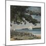 Nassau, Water and Sailboat-Winslow Homer-Mounted Premium Giclee Print