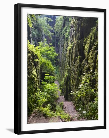 Nasse Schlucht at Kuhstall Cave, Saxon Switzerland, Germany, Saxony-Martin Zwick-Framed Premium Photographic Print