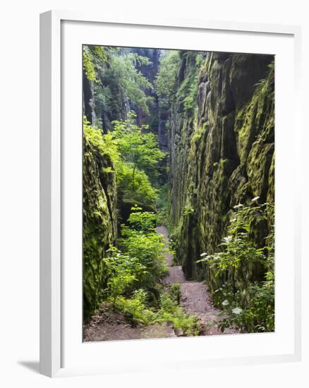 Nasse Schlucht at Kuhstall Cave, Saxon Switzerland, Germany, Saxony-Martin Zwick-Framed Photographic Print