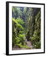 Nasse Schlucht at Kuhstall Cave, Saxon Switzerland, Germany, Saxony-Martin Zwick-Framed Photographic Print