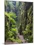 Nasse Schlucht at Kuhstall Cave, Saxon Switzerland, Germany, Saxony-Martin Zwick-Mounted Photographic Print