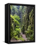 Nasse Schlucht at Kuhstall Cave, Saxon Switzerland, Germany, Saxony-Martin Zwick-Framed Stretched Canvas