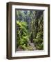 Nasse Schlucht at Kuhstall Cave, Saxon Switzerland, Germany, Saxony-Martin Zwick-Framed Photographic Print