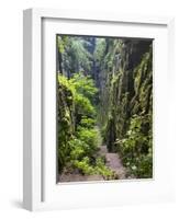 Nasse Schlucht at Kuhstall Cave, Saxon Switzerland, Germany, Saxony-Martin Zwick-Framed Photographic Print