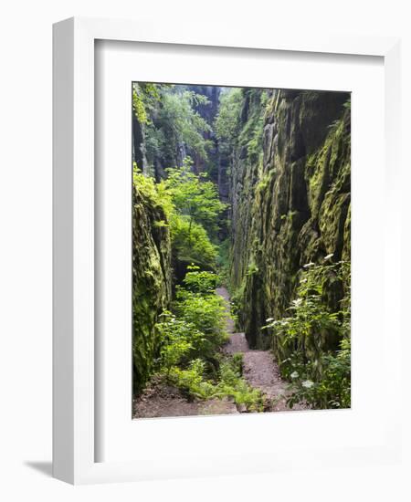 Nasse Schlucht at Kuhstall Cave, Saxon Switzerland, Germany, Saxony-Martin Zwick-Framed Photographic Print