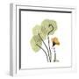 Nasturtium 1-Albert Koetsier-Framed Premium Giclee Print