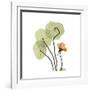 Nasturtium 1-Albert Koetsier-Framed Premium Giclee Print