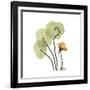 Nasturtium 1-Albert Koetsier-Framed Premium Giclee Print