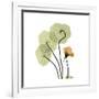 Nasturtium 1-Albert Koetsier-Framed Premium Giclee Print