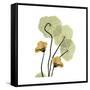 Nasturtium 2-Albert Koetsier-Framed Stretched Canvas