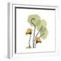 Nasturtium 2-Albert Koetsier-Framed Premium Giclee Print