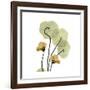 Nasturtium 2-Albert Koetsier-Framed Premium Giclee Print