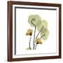 Nasturtium 2-Albert Koetsier-Framed Premium Giclee Print