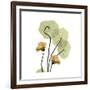 Nasturtium 2-Albert Koetsier-Framed Premium Giclee Print