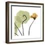 Nasturtium 3-Albert Koetsier-Framed Premium Giclee Print