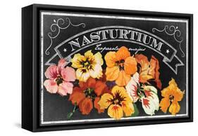 Nasturtium Blooms-null-Framed Stretched Canvas