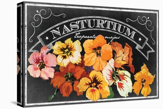 Nasturtium Blooms-null-Stretched Canvas