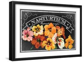 Nasturtium Blooms-null-Framed Giclee Print