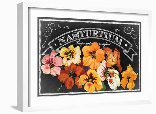 Nasturtium Blooms-null-Framed Giclee Print