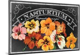 Nasturtium Blooms-null-Mounted Giclee Print