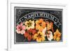 Nasturtium Blooms-null-Framed Giclee Print