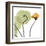 Nasturtium Close Up-Albert Koetsier-Framed Art Print