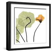 Nasturtium Close Up-Albert Koetsier-Framed Art Print