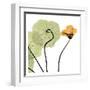 Nasturtium Close Up-Albert Koetsier-Framed Art Print