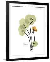 Nasturtium Portrait 1-Albert Koetsier-Framed Premium Giclee Print